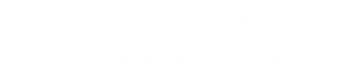 WebPatient® LLC - Su Referencia Medica Personalizada
